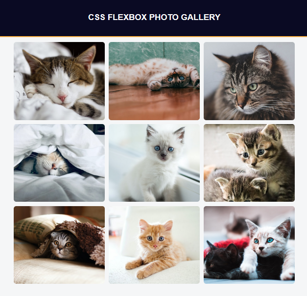 Cats photo gallery preview